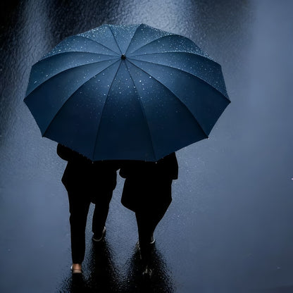 12 Bone Windproof And Folding Umbrella for Both Men And Women, Rain Gift Umbrella, Elegant Design, Comfortable Grip, Spring And Summer Selection, Beach, Vacation, Sun Umbrella, Suitable for Daily Commuting And Outdoor Activities